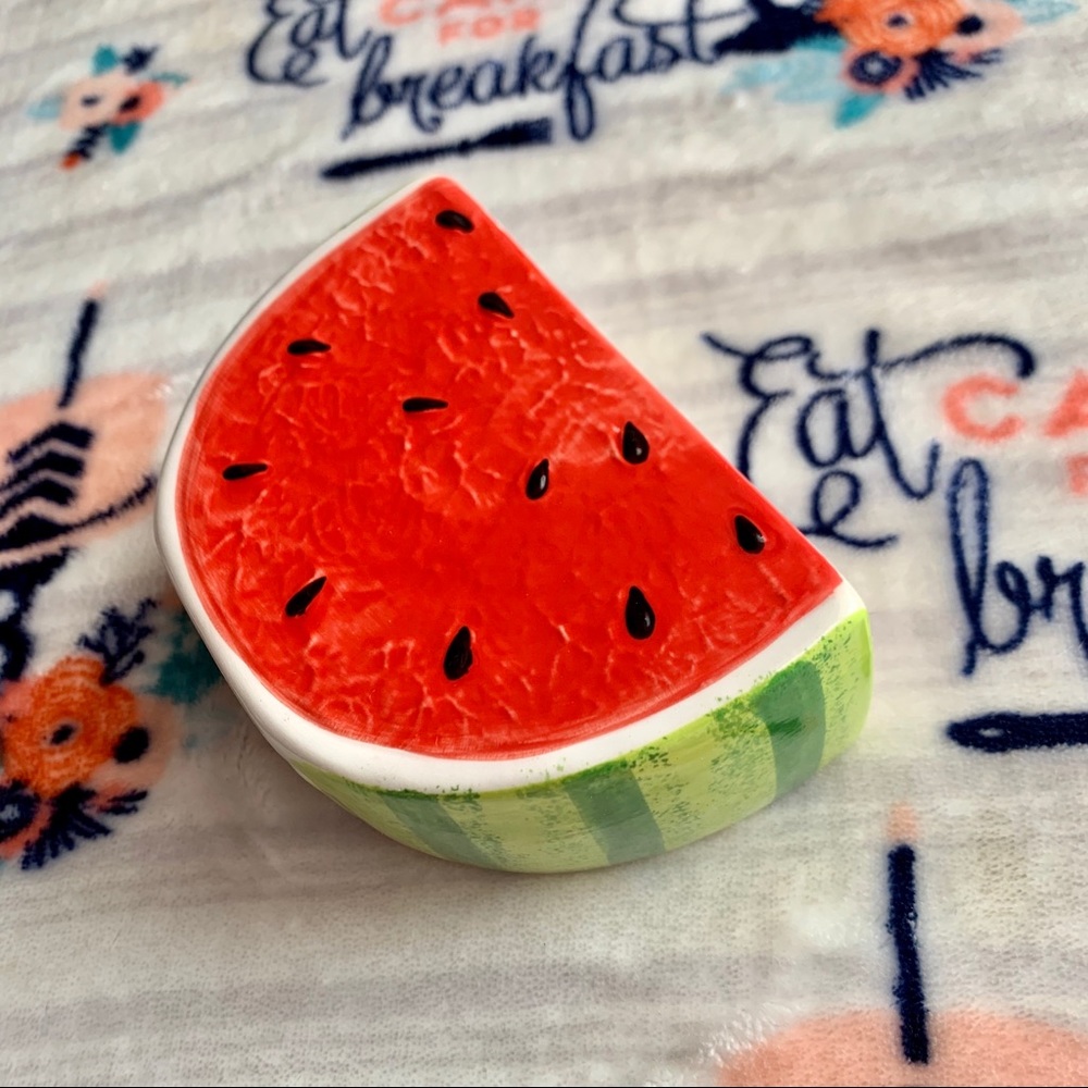 1 LEFT! 🍉 Watermelon Slice Succulent Planter 🍉 - Picture 3 of 4